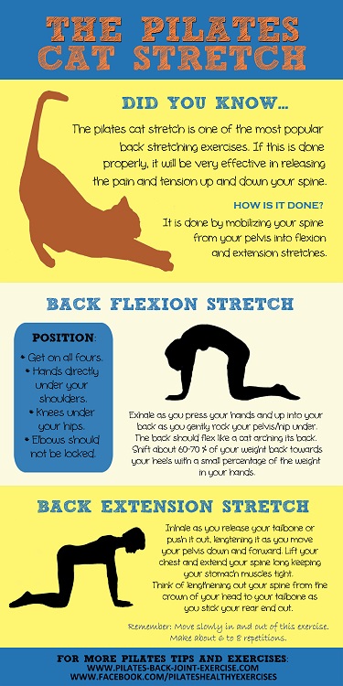 cat stretch pilates exercise image