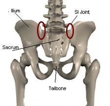 sacroiliac joint pain anatomy image