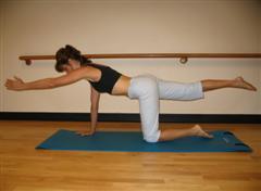 kneeling arm and leg balance exercise